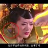 查一下49图库1/1